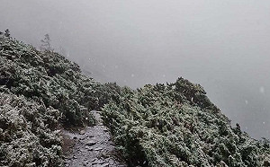 元旦連假追雪注意！「4路段」易結冰  公路總局：不排除管制、封路