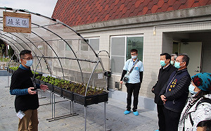 為城市減碳降溫  中市低碳辦公室打造光電城食森林