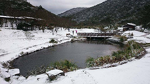 陽明山二子坪、貓空下雪？事實查核中心調監視器畫面：錯誤訊息