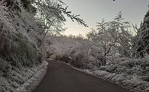 (影)太平山下雪30分鐘！濃縮美景線上看