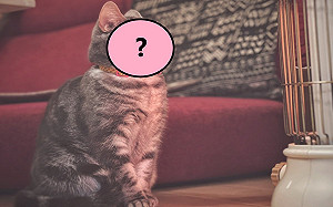 暖爐一打開　貓咪竟露出「這表情」：是天堂啊！