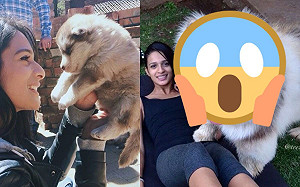 (影)女子養小狗9個月牠「暴風式成長」網驚：真的同一隻狗？