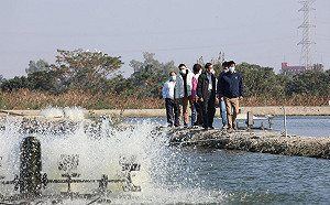 寒流侵襲農損破1億元  蓮霧虱目魚傷最大