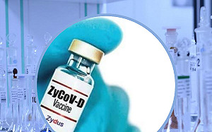 變種病毒有解？ 印度率先培養出毒株