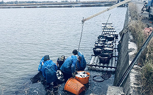 農漁業寒害災損 陳吉仲：中央現金救助金、理賠專案將陸續啟動