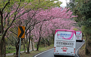 國旅團「遊覽車上禁推銷」?觀光局擬修法:旅客同意才可兜售