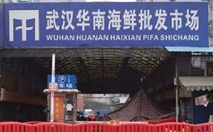 蓬佩奧投書 指中共實驗室疏失危害全球 籲國際要求中國負責