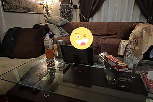 飼主線上開趴到一半去廁所　遭貓咪亂入大家反應嗨翻了！