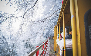 追雪族注意！大雪山、合歡山、太平山交管資訊一次掌握