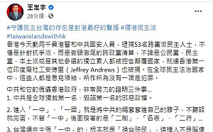 撐港民主派！王定宇嗆：台灣主張「一中」的人腦傻心壞