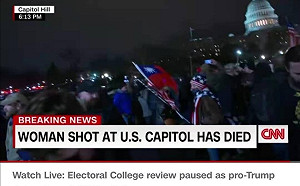 川粉舉中華民國國旗闖美國會 網友：太陽花輸出