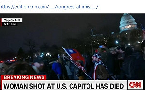 川粉闖國會赫見「中華民國國旗」 陳以信：政府千萬要切割