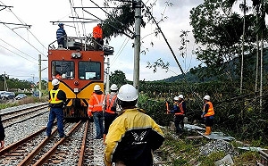 強風吹斷竹子壓損電車線！  台鐵東部幹線中斷1小時