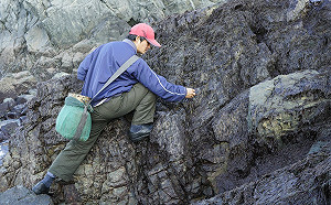 良影一二》下懸崖頂風浪 濕滑礁石採紫菜 拼老天給的年終獎金