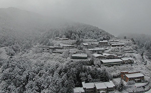 追雪族必讀！全台5大銀白夢幻雪景最新資訊