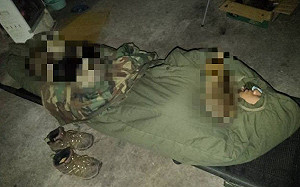 體驗露營半夜卻「多出毛室友」　網笑：神秘基地解鎖啦！