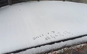 台中福壽山農場飄雪.天池結冰 露營等雪民眾樂翻