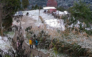 追雪要快！拉拉山最新雪況 積雪只剩薄薄一片