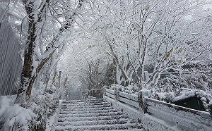 追雪族注意！道路結冰危險 宜蘭太平山午後禁止入園