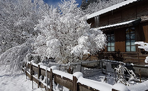 追雪最新交管看這裡！夜間多處路段預警性封閉