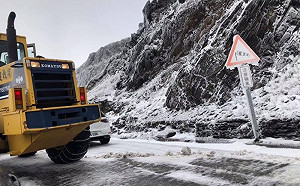 想追雪卻狂打滑！內行曝雪駕技巧
