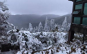 美如北國！太平山下冰霰銀白一片 遊客直呼感動