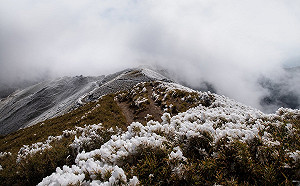 合歡山下大雪！3山區路段強制掛雪鍊通行