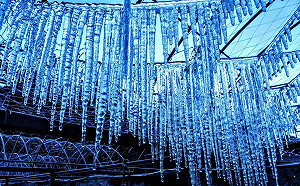 美翻了！武陵農場清晨低溫下探零下3.9度  再現「水晶簾冰柱」奇景