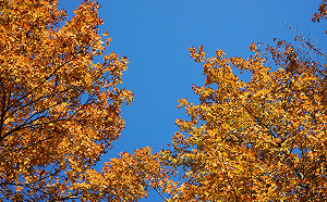 良影一二》氣溫回升陽光露臉天空蔚藍  台北出現久違的好天氣