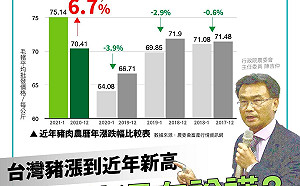豬肉價格創4年新高 民眾黨轟陳吉仲：養豬百億基金何時兌現？