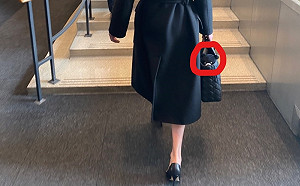 美駐聯大使帶「台灣黑熊」娃娃進聯合國 綠委：重要的信息