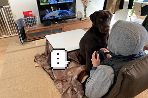 (影)快樂玩遊戲　一身影突逼近「佔視線」：有說你可以玩這麼久？