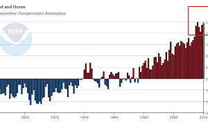 去年全球創史上第2高溫！  專家曝驚人增溫數據