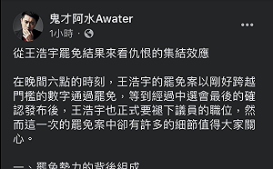 「罷王案」是仇恨集結的總和？  網紅暗諷政治操作:「越亂他們越開心」