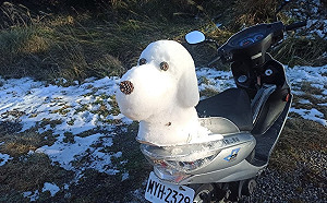 辛苦堆的「雪狗」一秒飛走！網笑：忘記繫安全帶