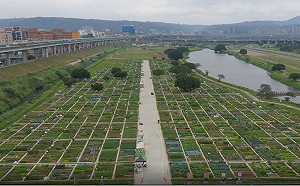 新北大都會公園「樂活農園」1/25起受理報名登記