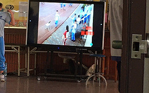 國中公播學生亂丟垃圾影片  人本批反教育作法