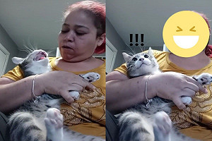 (影)別惹媽生氣！主子剪指甲狂哈氣　遭奴才「哈回去」秒傻眼