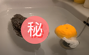 (影)貓頭鷹在水中「漂浮打轉」　網：練習水母漂！？