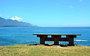 最好客的旅遊城市！台東獲旅客評分卓越獎第一名
