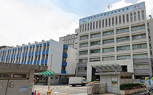 台灣傳也要求進口食品機密遭質疑「綠能你不能」 食藥署:僅特殊個案