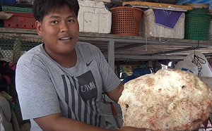 什麼嘔吐物這麼貴?  泰漁夫撿怪石回家意外致富