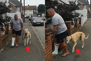 (影)爸「掰咖」狗狗也跛腳　花錢檢查原因讓他苦笑：我養的！