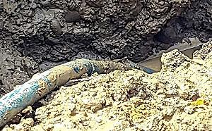 自來水管破裂！新北土城逾3千戶緊急停水