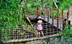 台中太平蝙蝠洞延伸步道啟用  盧秀燕邀大家牛年行春健走遊仙境