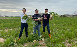 中市綠營議會三帥下田拔蘿蔔  長輩收到蘿蔔糕個個笑開懷