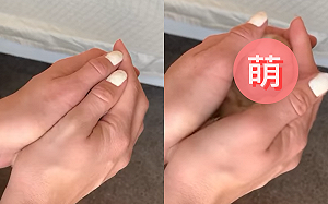 (影)一「毛茸茸」從手掌中慢慢秀出　網讚：是隻柔弱小精靈！