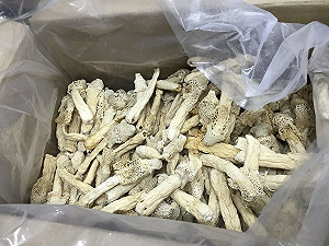 農藥殘留超標！多家餐廳飯店進口中國竹笙已下架