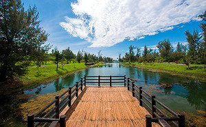春節瘋國旅！台東火車、航空、轉運站加強防疫年假不打烊