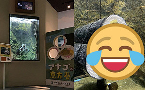看了都餓了？水族館設「星鰻惠方卷」魚窩　果然吸引魚入住！